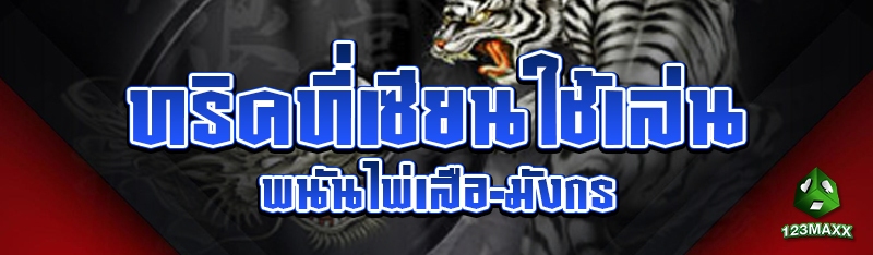 ทริคที่เซียนใช้เล่นพนันไพ่เสือ-มังกร