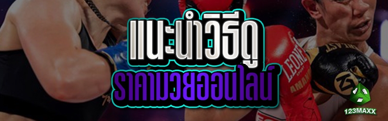 แนะนำวิธีดู ราคามวยออนไลน์