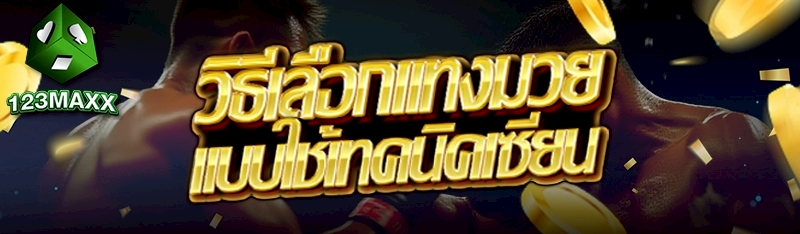 วิธีเลือกแทงมวยแบบใช้เทคนิคเซียน