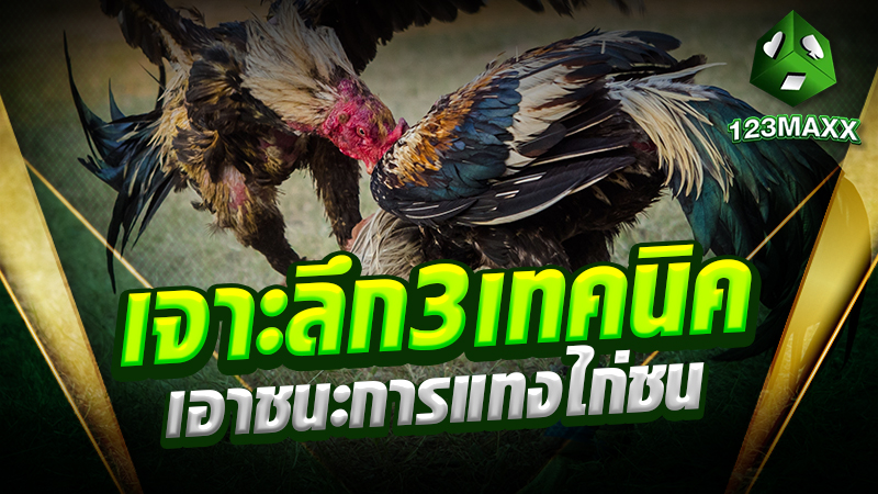 เจาะลึก 3 เทคนิคเอาชนะการแทงไก่ชน
