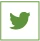 icon twitter